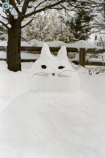 Hvordan man laver en sne kat. Byg bunden af katten først.