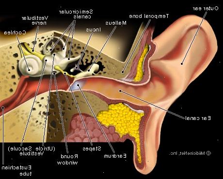 Sådan helbredelse en ørepine. Påfør en varm over smertefulde øre.