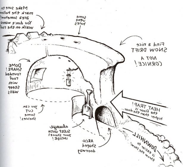 Hvordan til at bygge en sne grotte. Find et stort åbent plet med masser af sne.