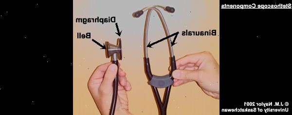 Sådan bruger et stetoskop