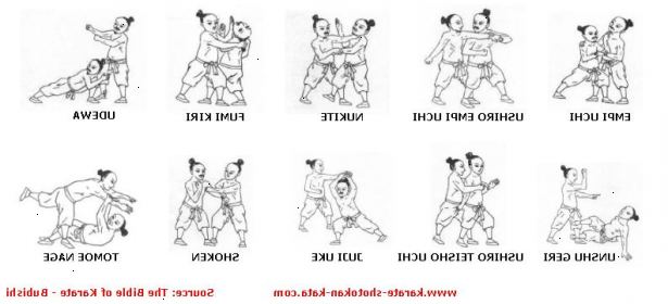 Sådan at forstå grundlæggende karate. Der er mange stilarter af karate,. E.